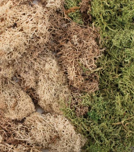 EZ Bushes - All Game Terrain -- Winter Mix, All Scales, Woodland Scenics 6500
