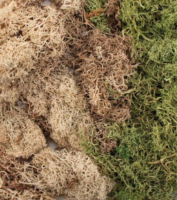 EZ Bushes - All Game Terrain -- Winter Mix, All Scales, Woodland Scenics 6500