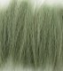 Tall Grass - All Game Terrain -- Green, All Scales, Woodland Scenics 6508