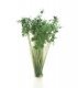 Peel `n` Plant Tufts - All Game Terrain -- Dark Green Shrubs, All Scales, Woodland Scenics 6632