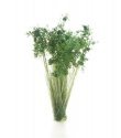 Peel `n` Plant Tufts - All Game Terrain -- Dark Green Shrubs, All Scales, Woodland Scenics 6632