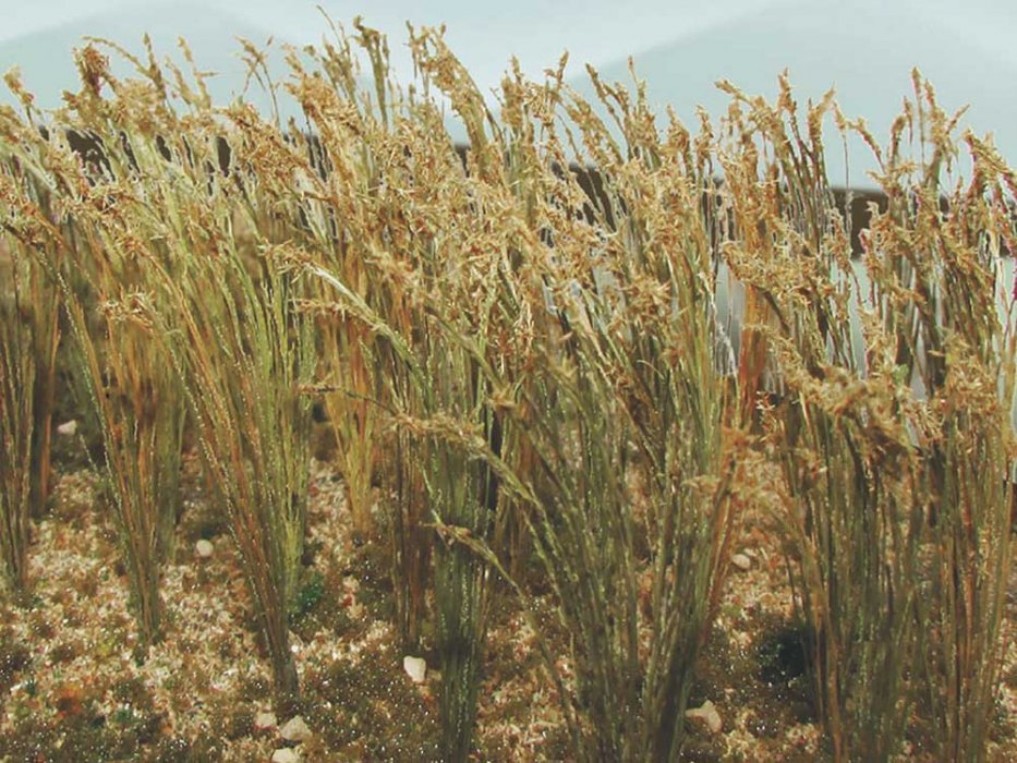 Wheat -- 1′ 2.5cm Tall pkg(30), HO, Bachmann Industries 32508