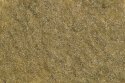 Grass Flocking - 1/16′ 2mm Fibers -- Fall - 1-1/16oz. 30g, All Scales, Busch Gmbh & Co Kg 3474