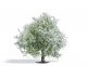 Blossoming Apple Tree - Exclusive -- 2-15/16′ 7.5cm Tall, HO, Busch Gmbh & Co Kg 3651