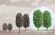 Deciduous Trees -- 5-11/16′ 14.5cm Tall pkg(2), All Scales, Busch Gmbh & Co Kg 6165