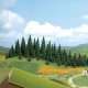 Large Grass Mat - 60 x 40′ 150 x 100cm -- Spring, All Scales, Busch Gmbh & Co Kg 7271