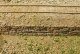 Flexible Sea Wall Sheet -- Medium for HO Scale: 3-3/4 x 12′ 9.5 x 30.5cm, All Scales, Chooch Enterprises 8568