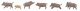 Wild Boars -- pkg(6), HO, Faller Gmbh 151925
