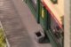 Self-Adhesive Road Surface Sheet -- Coarse Asphalt, HO, Faller Gmbh 170315