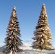 Assorted Pine Trees w/Snow -- 3 to 9′ 7.6 to 22.9cm pkg(7), All Scales, Grand Central Scenery T13