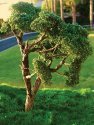 Hardwood Tree -- 2 to 3′ 5.1 to 7.6cm pkg(3), All Scales, Grand Central Scenery T28