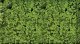 Foliage Pad - 11 x 5-1/2′ 27.9 x 14cm -- Medium Green, All Scales, Heki/Mini Forest 1551