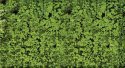 Foliage Pad - 11 x 5-1/2′ 27.9 x 14cm -- Medium Green, All Scales, Heki/Mini Forest 1551