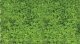 Foliage Pad - 11 x 5-1/2′ 27.9 x 14cm -- Spring Green, All Scales, Heki/Mini Forest 1554