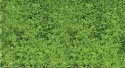 Foliage Pad - 11 x 5-1/2′ 27.9 x 14cm -- Spring Green, All Scales, Heki/Mini Forest 1554