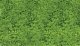 Foliage Pad - 11 x 5-1/2′ 27.9 x 14cm -- Spring Green, All Scales, Heki/Mini Forest 1554