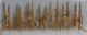 Dried Corn Stalks -- pkg(28), O, JTT Miniature Tree 95589