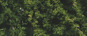 Fine Leaf Foliage(TM) - 75 Cu. In. 1.2 Cu. m. -- Dark Green, All Scales, Woodland Scenics 1130