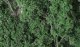 Fine Leaf Foliage(TM) - 75 Cu. In. 1.2 Cu. m. -- Dark Green, All Scales, Woodland Scenics 1130