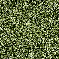 Underbrush Clump-Foliage - 18 Cu. In. 295 Cu cm. -- Light Green, All Scales, Woodland Scenics 135