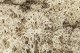 Lichen - 1.5qts 1.4L -- Natural Color, All Scales, Woodland Scenics 166