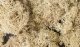 Lichen - 1.5qts 1.4L -- Natural Color, All Scales, Woodland Scenics 166