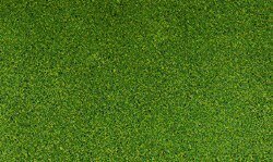 Blended Turf - 54 Cubic Inches 885 Cubic Centimeters -- Green, All Scales, Woodland Scenics 49