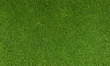 Blended Turf - 54 Cubic Inches 885 Cubic Centimeters -- Green, All Scales, Woodland Scenics 49