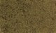 Coarse Turf -- Earth, All Scales, Woodland Scenics 60