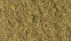 Coarse Turf -- Earth, All Scales, Woodland Scenics 60
