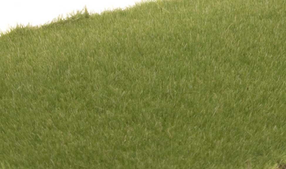 Static Grass - Field System -- Medium Green 1/16′ 2mm Fibers, All Scales, Woodland Scenics 614