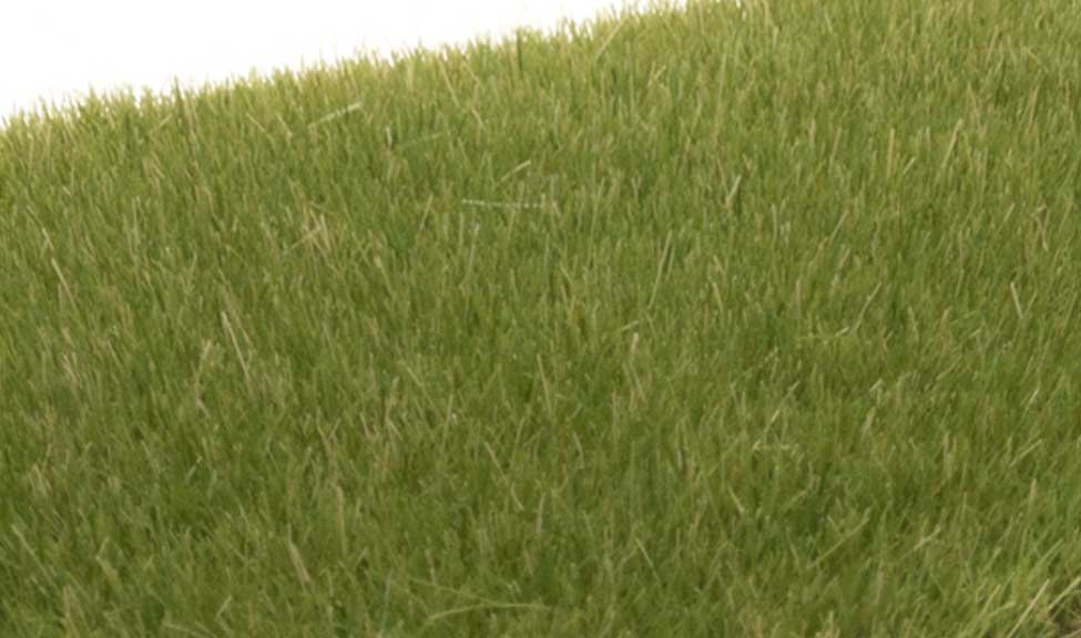 Static Grass - Field System - 1/8′ 4mm Fibers -- Medium Green, All Scales, Woodland Scenics 618