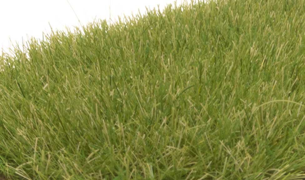 Static Grass - Field System -- Medium Green - 1/4′ 7mm Fibers, All Scales, Woodland Scenics 622