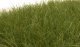 Static Grass - Field System -- Dark Green - 1/2′ 12mm Fibers, All Scales, Woodland Scenics 625