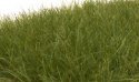 Static Grass - Field System -- Dark Green - 1/2′ 12mm Fibers, All Scales, Woodland Scenics 625