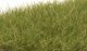 Static Grass - Field System -- Medium Green 1/2′ 12mm Fibers, All Scales, Woodland Scenics 626