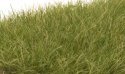Static Grass - Field System -- Medium Green 1/2′ 12mm Fibers, All Scales, Woodland Scenics 626