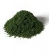Weeds - All Game Terrain -- Spring Green, All Scales, Woodland Scenics 6449
