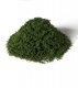 Weeds - All Game Terrain -- Summer Green, All Scales, Woodland Scenics 6450