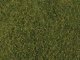 Tear & Plant Meadow Grass -- Light Green - Measures 7-7/8 x 9′ 20 x 23cm, All Scales, Walthers SceneMaster 1224
