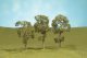 Maple Trees - SceneScapes(TM) -- 3 - 4′ 7.6 - 10.2cm pkg(3), HO, Bachmann Industries 32011