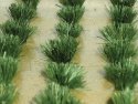 Detachable Grass Bundles pkg(30), HO, Bachmann Industries 32507