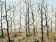 Woods Edge Trees -- Bare pkg(14), HO, Bachmann Industries 32509