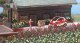 Rose Bushes - Assembled pkg(36), HO, Busch Gmbh & Co Kg 1241