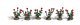 Rose Bushes - Assembled pkg(36), HO, Busch Gmbh & Co Kg 1241