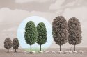 Deciduous Trees -- 3-15/16′ 10cm Tall pkg(2), All Scales, Busch Gmbh & Co Kg 6053