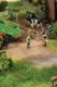 Farmers -- pkg(6), HO, Faller Gmbh 151643