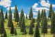 Fir Trees -- 2 to 5-7/8′ 5 to 15cm Tall pkg(25), All Scales, Faller Gmbh 181538