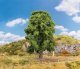 Oak Tree -- 7-1/16′ 18cm Tall, All Scales, Faller Gmbh 181573