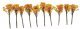 Fall Oak Tree -- 2 to 3′ 5.1 to 7.6cm pkg(4), All Scales, Grand Central Scenery T20